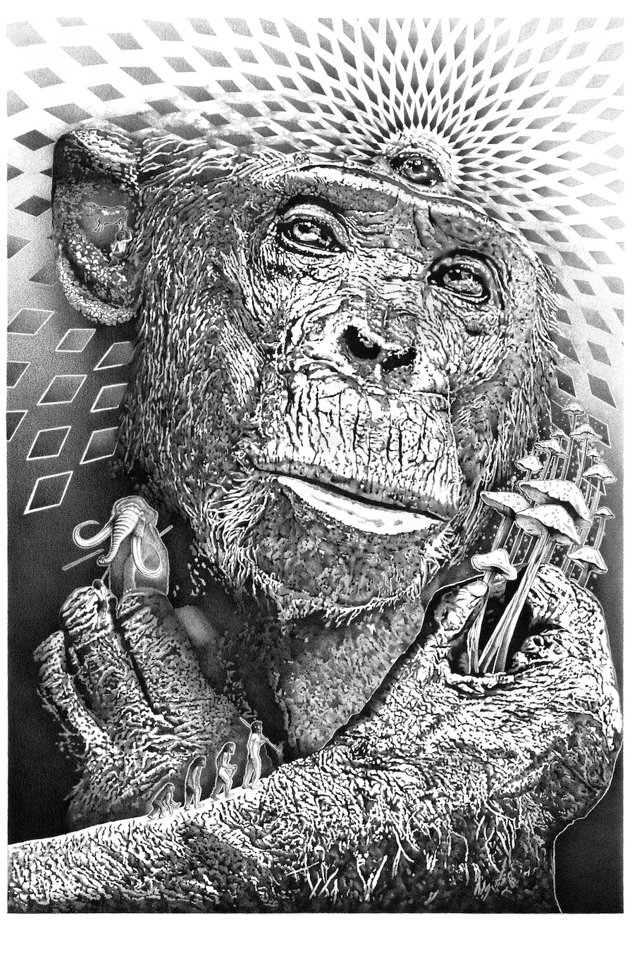 Stoned Ape Theory - Fine Art Print - 23.4 x 33.1 in