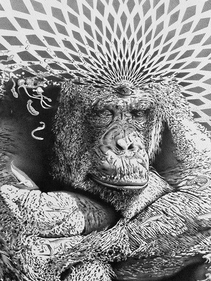 Stoned Ape Evolution - Fine Art Print - A1