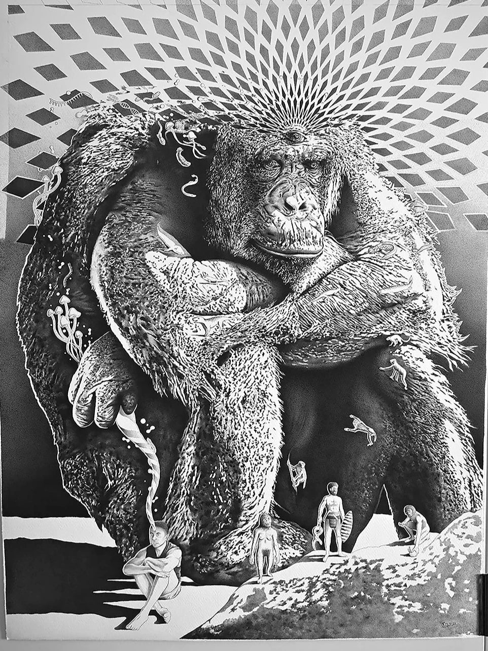 Stoned Ape Evolution - Fine Art Print - A1