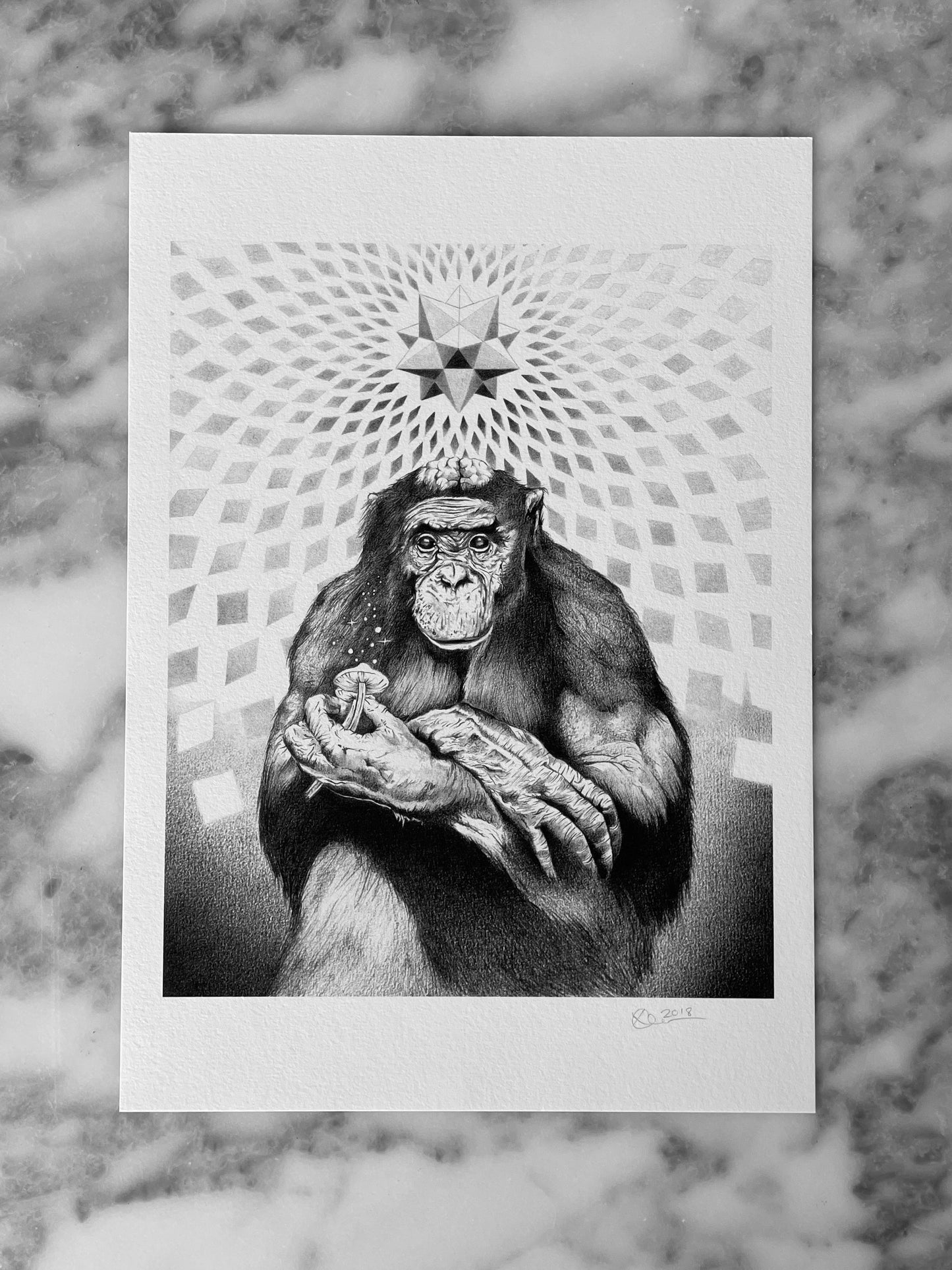 Stoned Ape First Version - Fine Art Print - A4