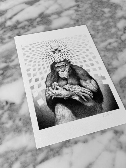 Stoned Ape First Version - Fine Art Print - A4