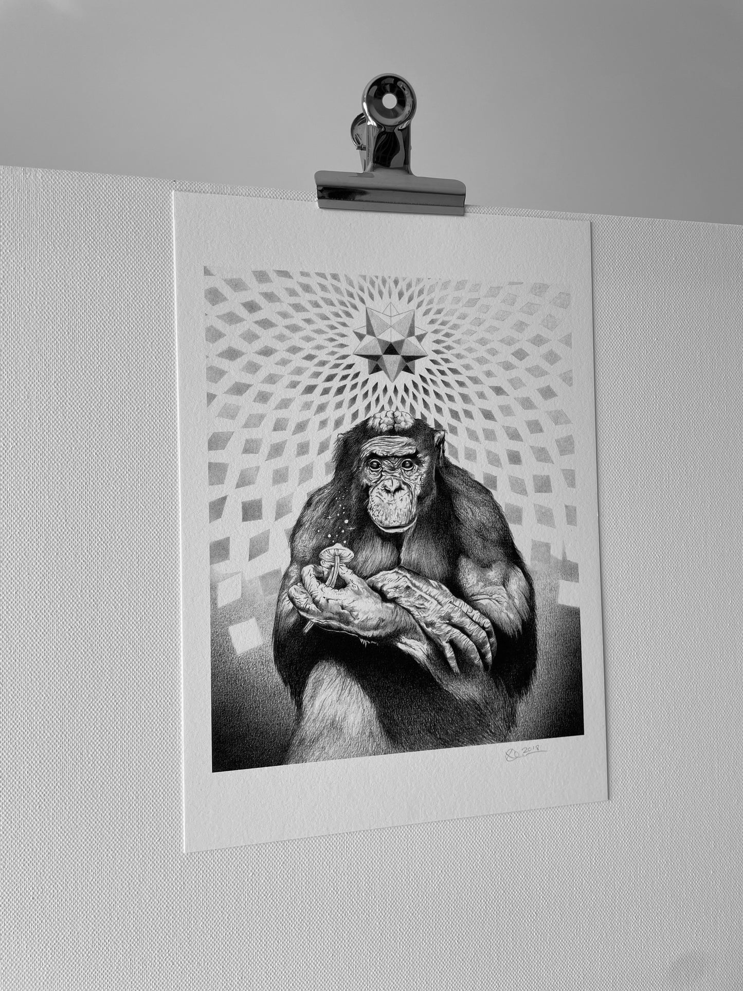 Stoned Ape First Version - Fine Art Print - A4