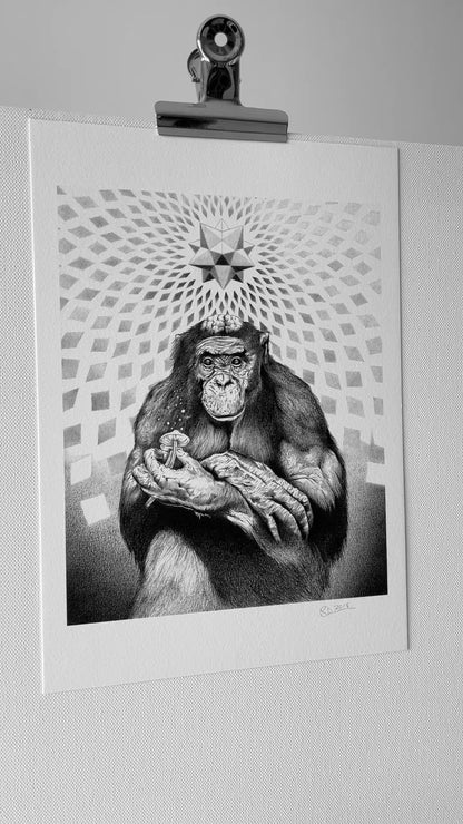 Stoned Ape First Version - Fine Art Print - A4