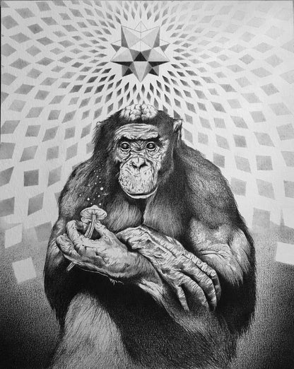 Stoned Ape First Version - Fine Art Print - A4