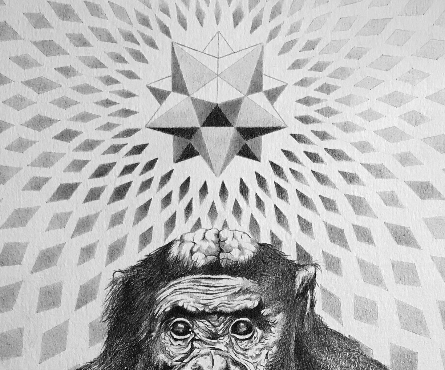 Stoned Ape First Version - Fine Art Print - A4